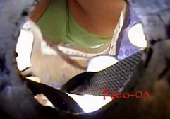 Vintage videos de cholotube ciervos 8mm 60s